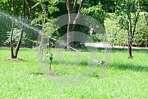Garden lawn water sprinkler system