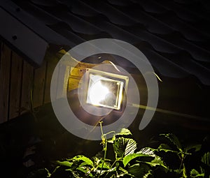 Garden LED Spotlight