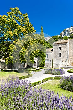 garden in Les Baux de-Provence, Provence, France