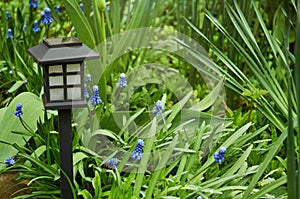 Garden light in the shape of a black box in green grass and blue flowers