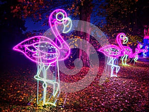 Garden of Lights at Botanical Garden in Bucharest