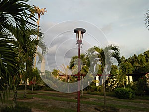 Garden lights surrounded by beautiful greenery