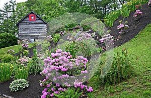 Garden & Log Cabin