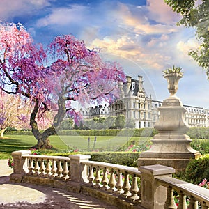 In the garden of the Louvre. photo