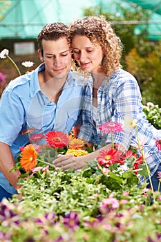 Garden love, greenhouse flower and couple with plant shopping and choice with gardening. Floral, spring sale and woman