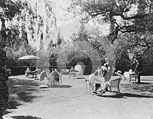 GARDEN LUNCHEON photo