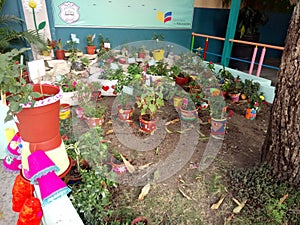 Garden made by students in Matovelle Highschool in Guayaquil photo