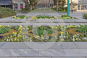 Garden Main Square Vidin