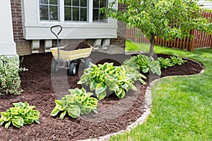 Garden maintenance in spring doing the mulching