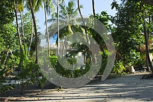 Garden in a maldivian village