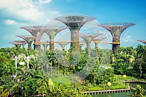 Garden Marina Bay Sands Singapore