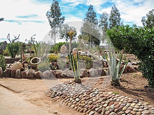 Garden in Marrakech in Morocco in Africa