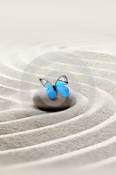 Garden meditation stone background and butterfly with stones and lines in sand for relaxation balance