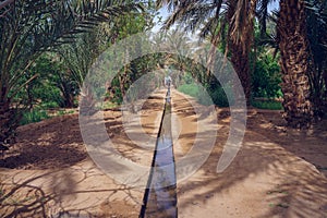 GARDEN AT MERZOUGA, Morocco