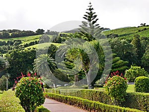 Garden of the miradouro da Ponta do Sossego on the island of Sao Miguel photo