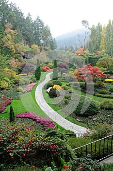 Garden in mist