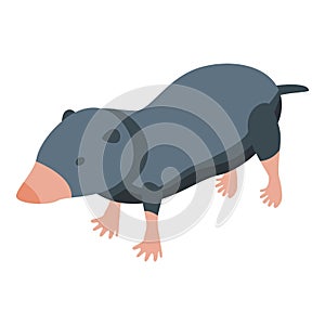 Garden mole icon isometric vector. Cute animal