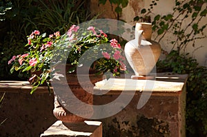 Garden in monastery of village Valldemossa