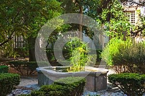 Garden in monastery of village Valldemossa photo