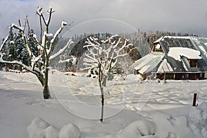 Garden in mountain village Bully during winter near Donovaly