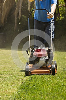 In the Garden - Mowing Lawn