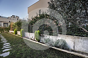 Garden of a multi-storey single-family house with slate paths attached to the perimeter hedge of the property