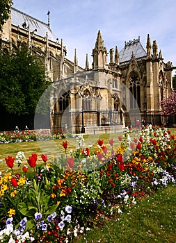 Garden near Notre Dame