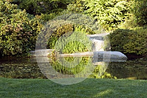 Garden with nice lawn and pond