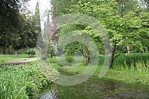 The garden of Ninfa