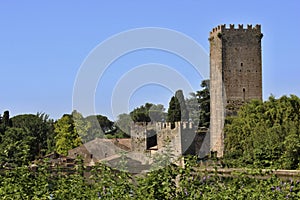 The Garden of Ninfa