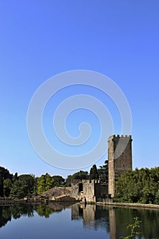 The Garden of Ninfa