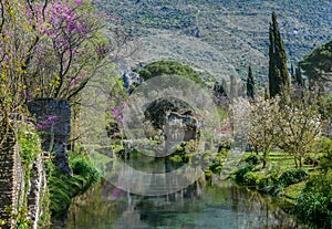 Garden of Ninfa, landscape garden in the territory of Cisterna di Latina, in the province of Latina, central Italy.