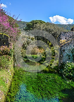 Garden of Ninfa, landscape garden in the territory of Cisterna di Latina, in the province of Latina, central Italy.