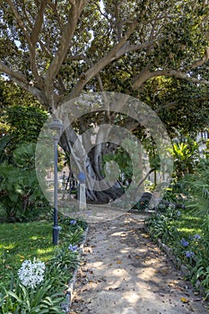 Garden of Normans Palace in Palermo, Sicily