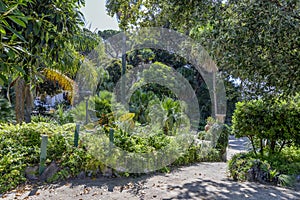 Garden of Normans Palace in Palermo, Sicily