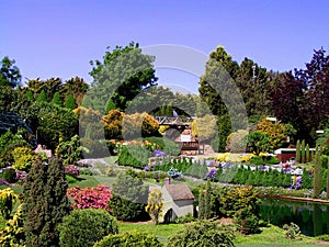 Garden off Canberra, Australia photo