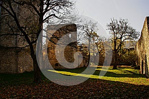 garden of old castle in autumn