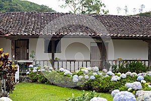 Garden in old town house in latin america