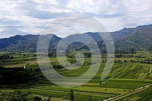 Garden, orchards and fields in the delta of the river Neretva