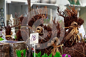 Garden ornaments on display at Borough Market