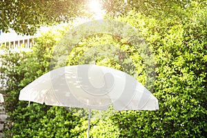 Garden Outdoor Patio Sunshade Umbrella Summer at home backyard green nature fresh ecology