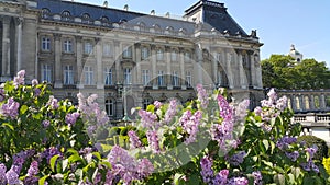 Garden of Palais Royal , Bruxelles