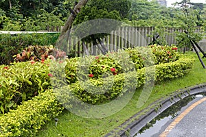 Garden of parkview hotel in rain