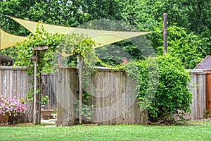 Garden or party area shaded by sails and an umbrella behind privacy fence with open gate  with vines growing on a trellis and on