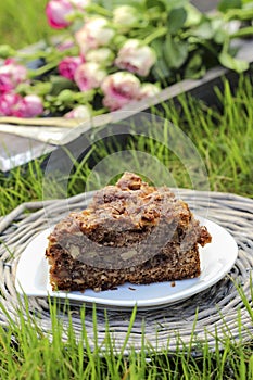 Garden party. Chocolate cake on wicker tray