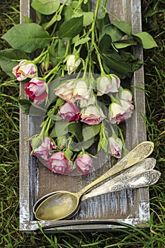 Garden party decor. Bouquet of pink roses