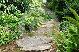 Garden Path