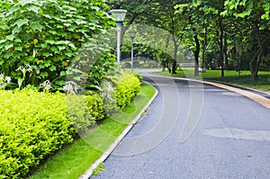 Garden path