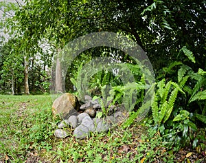 A Garden Path