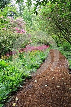 Garden path